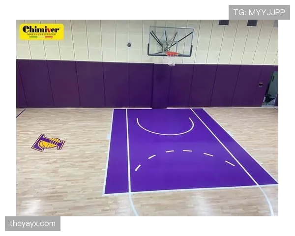 扎克拉文家里那个私人训练馆，连地板都是按比赛场馆一比一复刻的