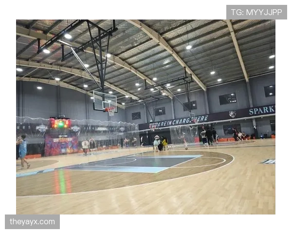 解读篮球场上合理冲撞规则的界定与应用场景